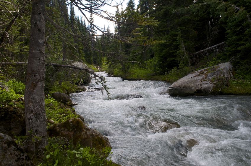 View South (along Helm Creek)