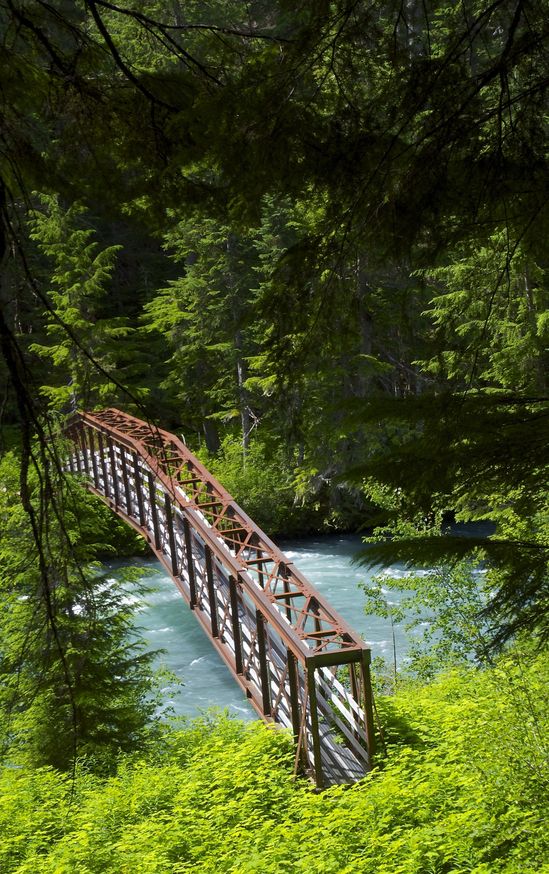 The Cheakamus Creek bridge, en route to the confluence point