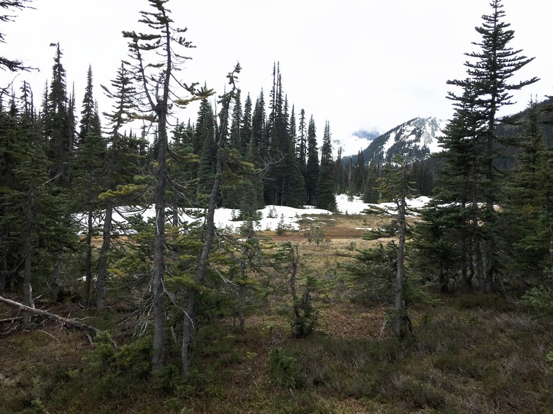 Looking toward East - Confleunce point about 10 meters away