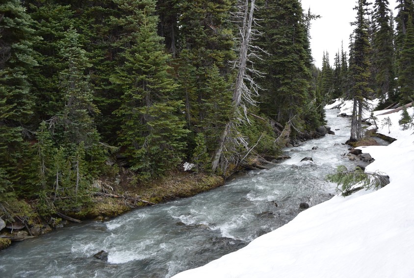 The Helm Creek near the Confluence Point - crossed upstream 