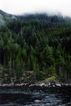 #1: the confluence, taken from the boat.