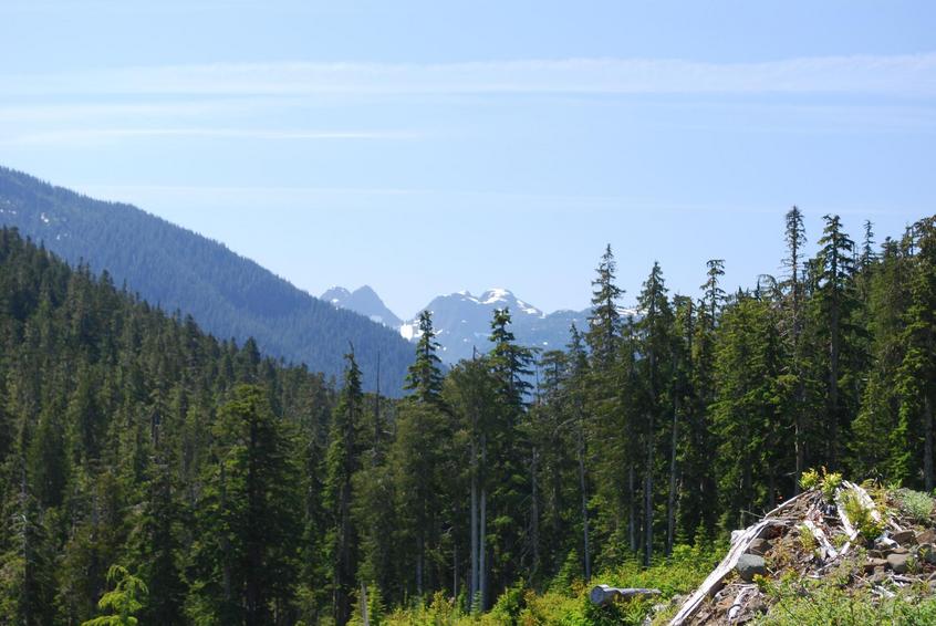 view into Strathcona Park, from the end of the road