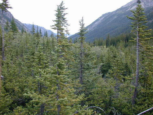 Looking downstream from the confluence