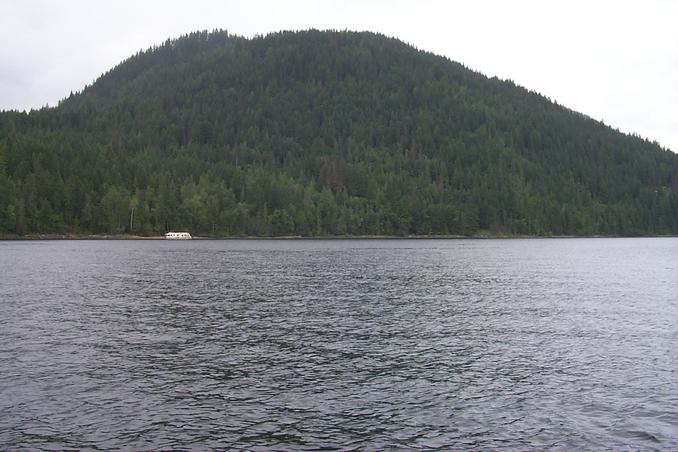 The view north from the confluence.