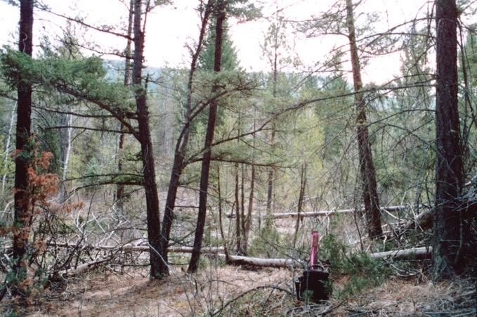 confluence site looking south towards leon creek