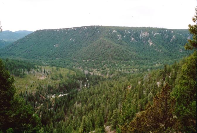 Leon Creek looking west from road