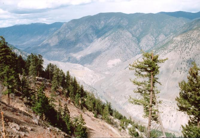 Fraser River looking north