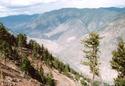 #5: Fraser River looking north