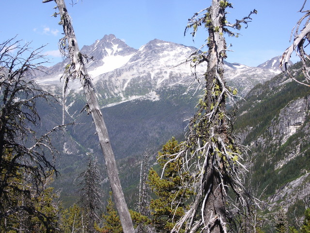 The view from near the Confluence