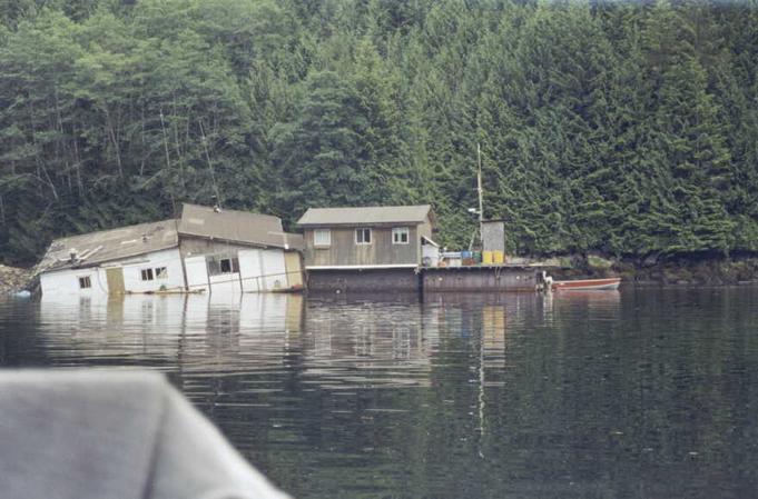 Logging Camp