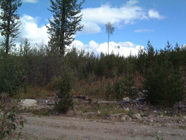 Looking towards the confluence from the road