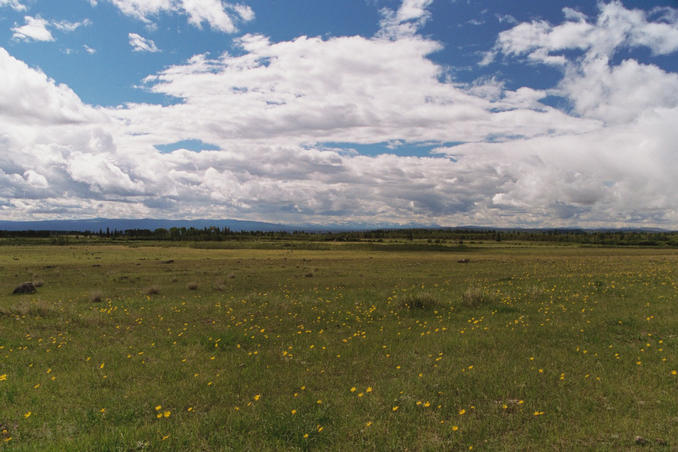 Field next to Highway 20, with mountains in background