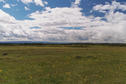 #3: Field next to Highway 20, with mountains in background