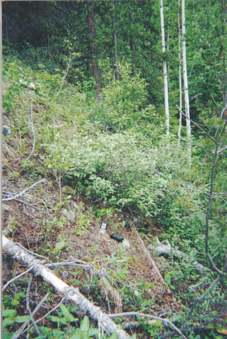 Genral View. The confluence is marked by the GPS and compass