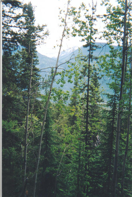 View to the south looking across the valley