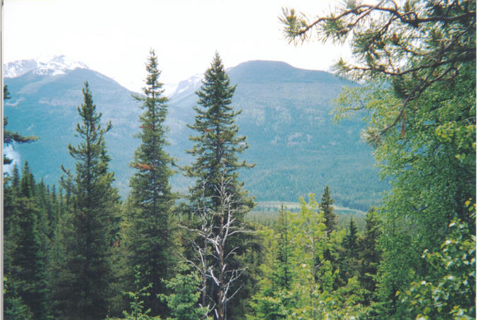 View from near the confluence of the Fraser River valley