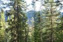 #4: View South (towards Moose Lake)