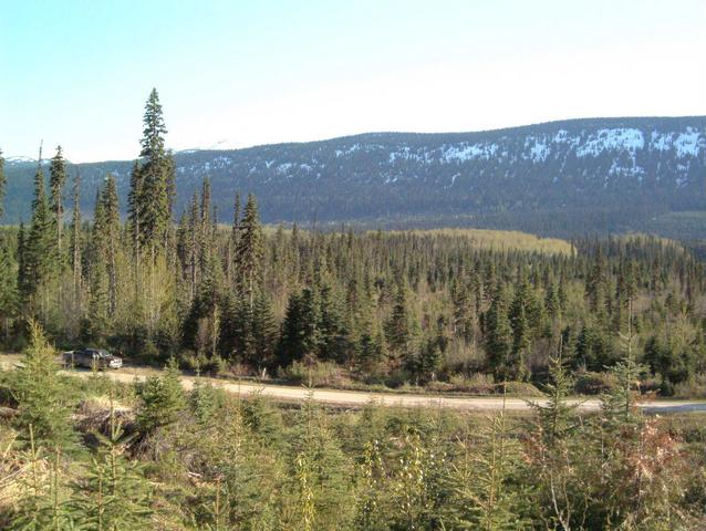 Looking South towards confluence (Top Left)