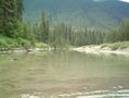 #6: Creek looking NE-confluence is to the right.