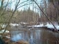 #2: Creek on the way to confluence -We went around it!