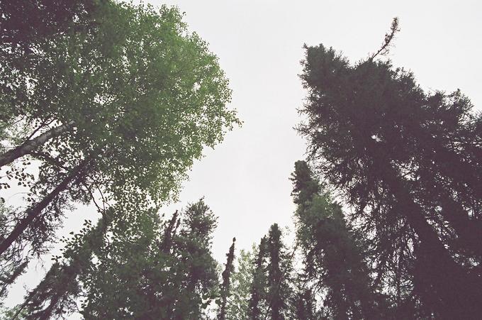 Looking up, facing Southeast