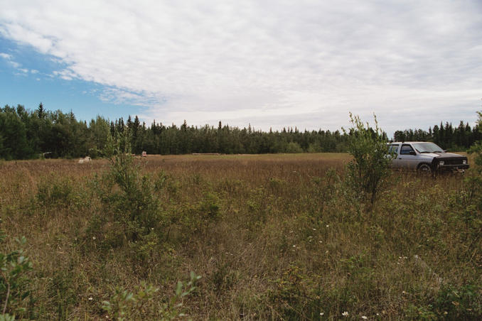 North, looking across the clearing where the old speedway used to be