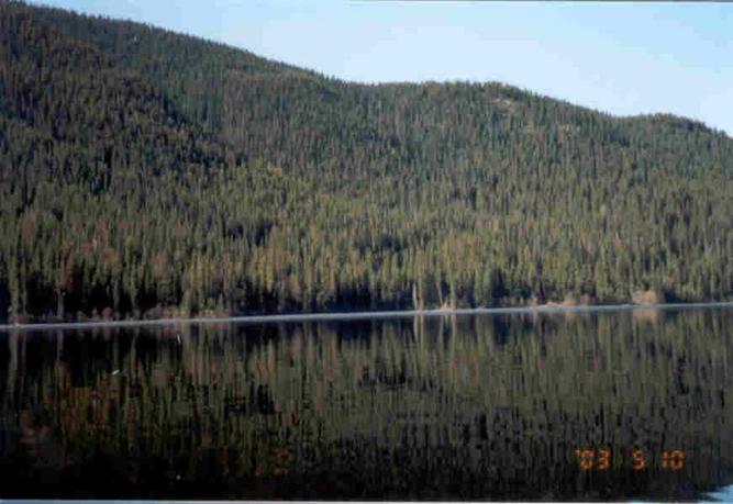 Looking northwest from the confluence