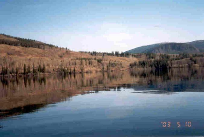 Looking northeast from the confluence