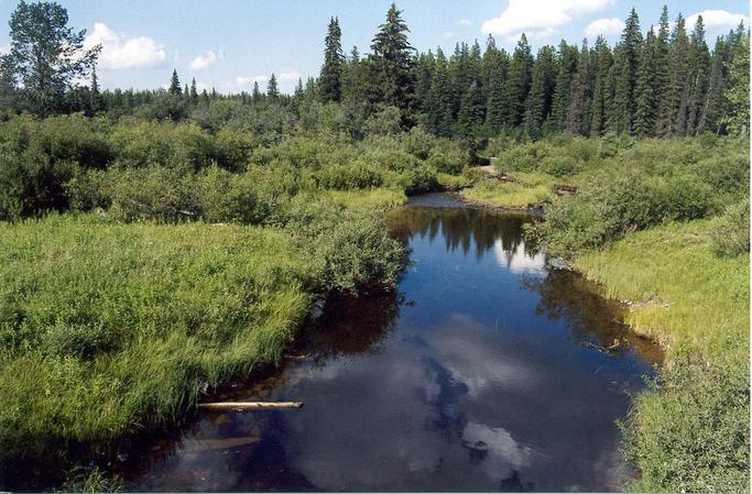 Hiding Creek - 8 km from the CP