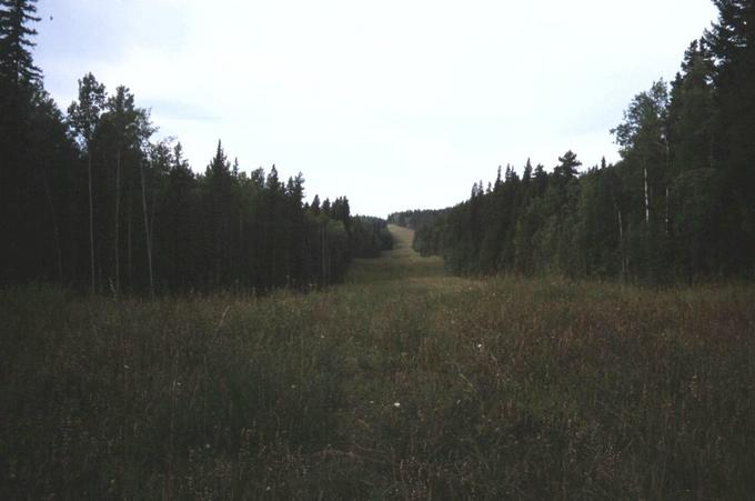 The gas pipeline route from the Peace River.