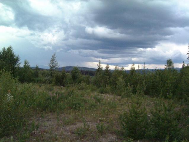 View from the road looking North.