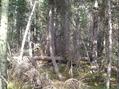 #2: Looking at the confluence facing South.