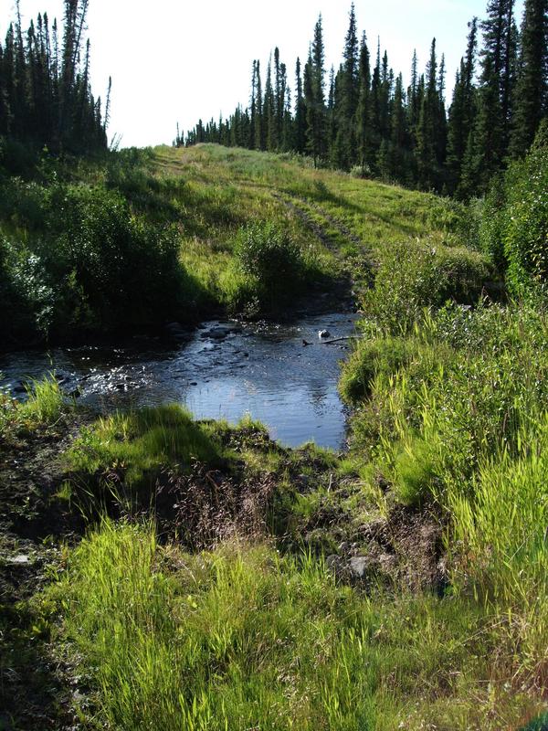 Old gas site maintenance road on our way back