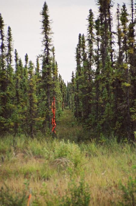 view of cutline from road