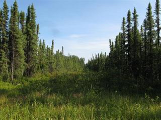 #1: The view of one of the roads you can take in. This one is a lot thicker in trees than the one we took.