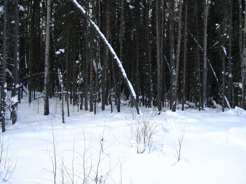 General view of the confluence