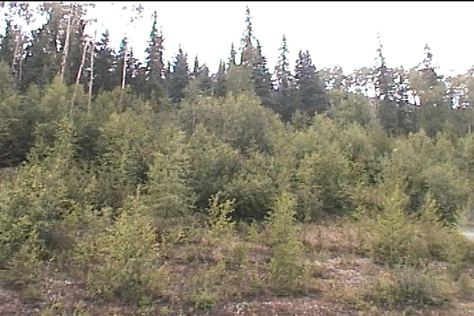 west, uphill, towards the confluence