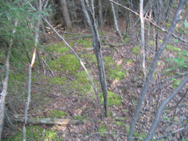 Overlooking the confluence site.