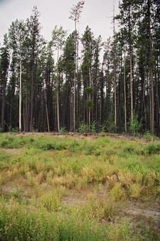 #1: from highway, looking west, at 60°N