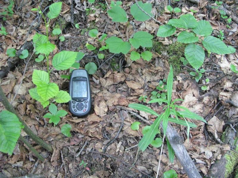 A view of the confluence with GPS at the location