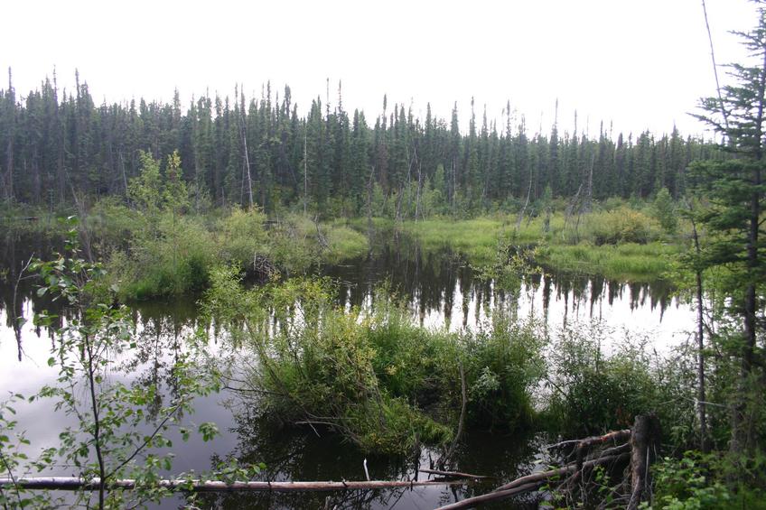 Group of lakes