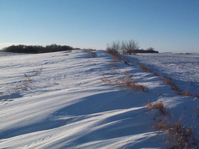 View of Confluence