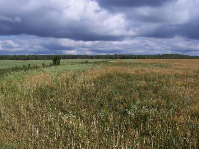 Overview from around 730 m from the confluence.