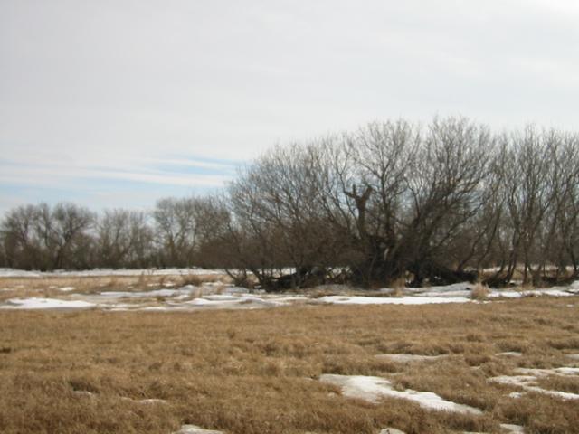 From confluence looking South