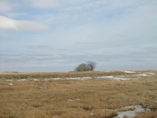 From confluence looking East