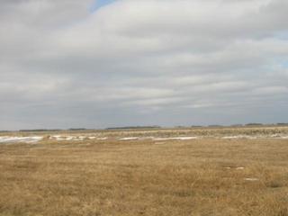 #1: From confluence looking North