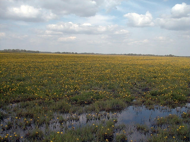 snapshot taken at confluence facing north