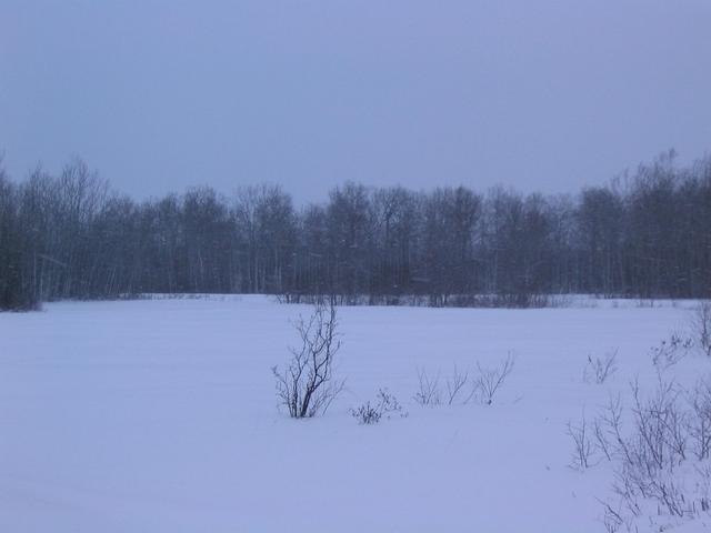 Looking toward the Confluence