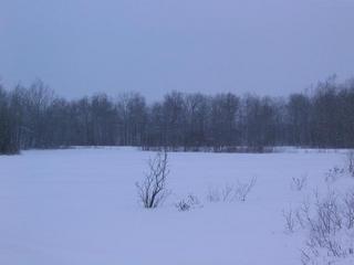 #1: Looking toward the Confluence