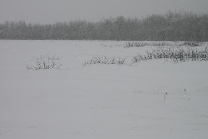 North view and snow falling